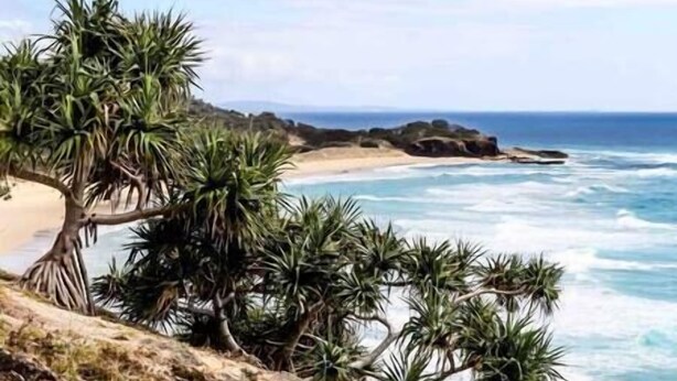 Un paysage côtier avec une plage, des vagues et des palmiers.