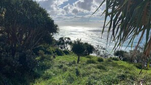 A coastal landscape with dense greenery and a view of the ocean. - This architect-designed Straddie beauty is the perfect laid-back beach house (Point Lookout)