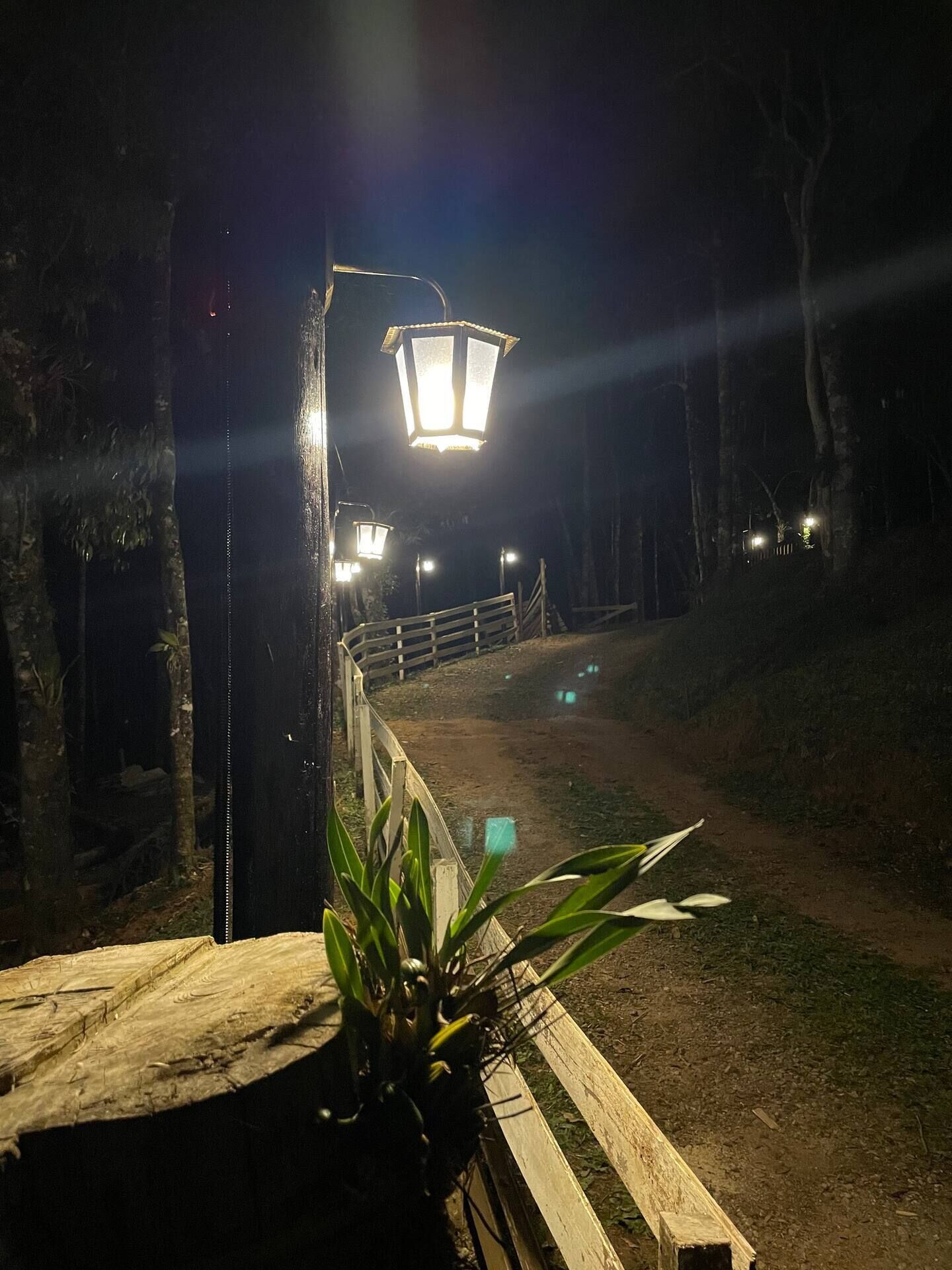 Parco della struttura