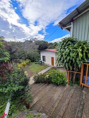 Property grounds - Cabinas Selva Verde (Monteverde)