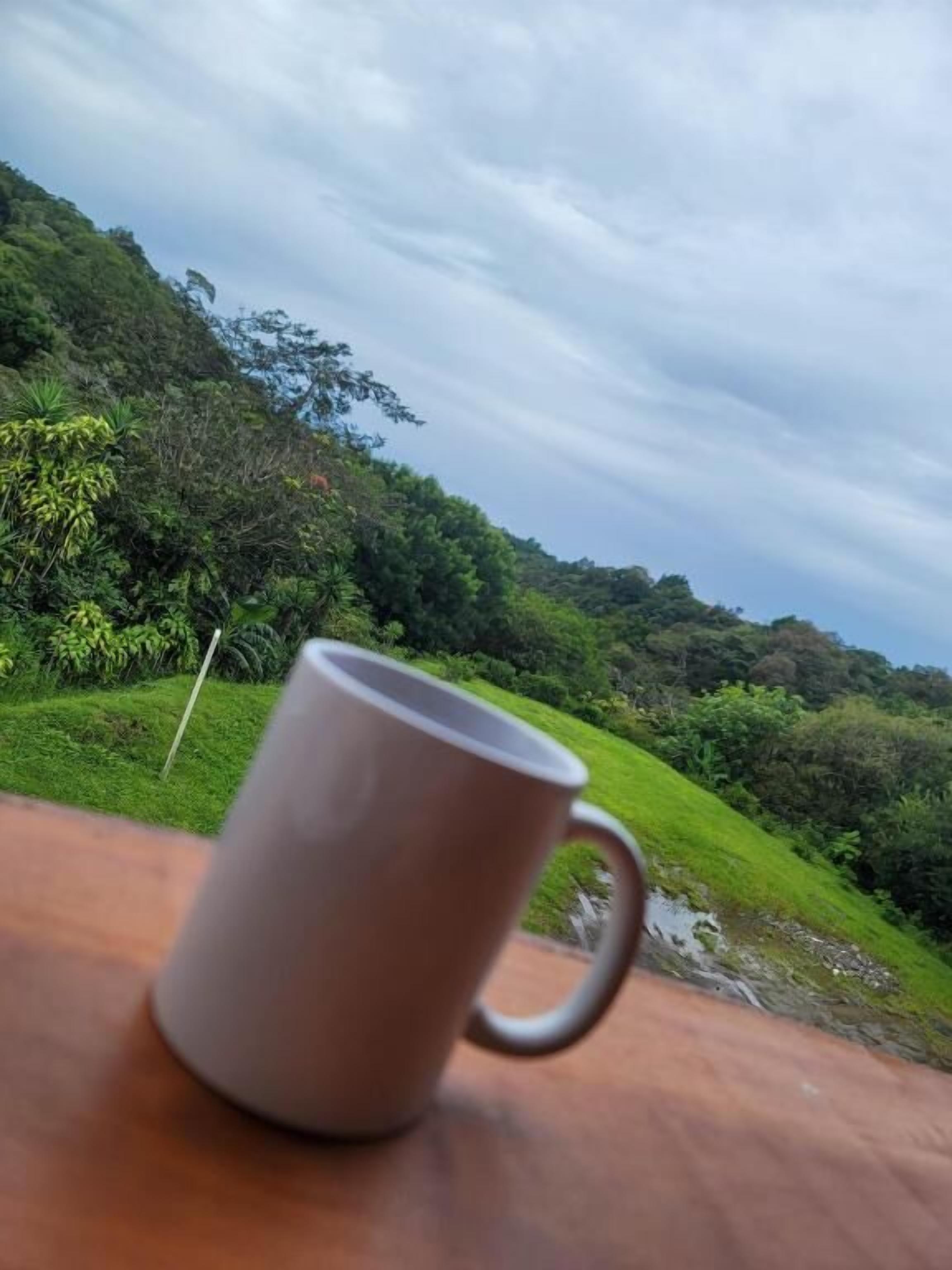 A mug on a table with a view of a lush green landscape and a cloudy sky.