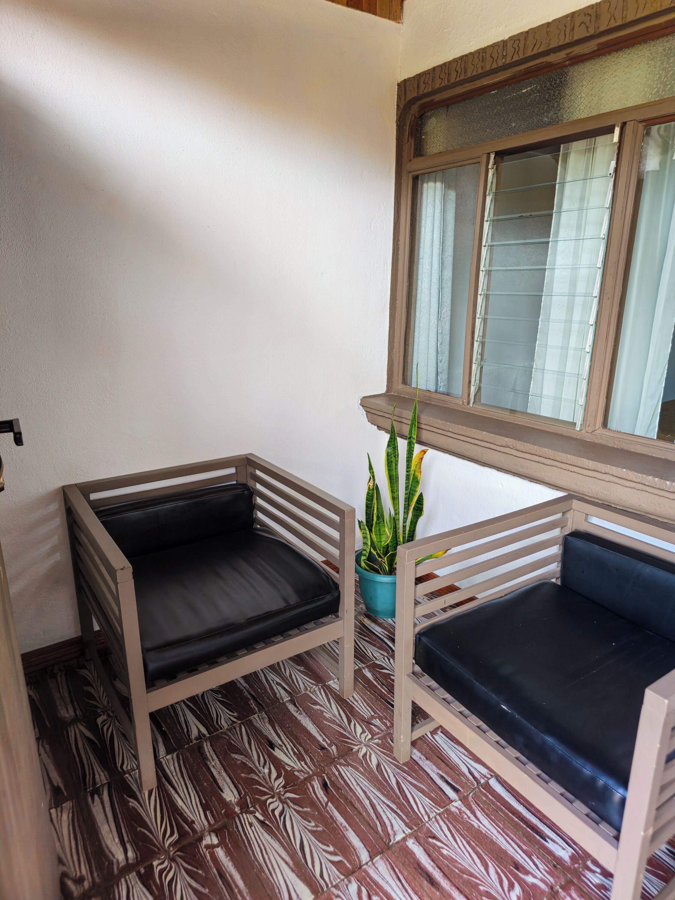 A corner room with two wooden chairs with black cushions, a potted plant, and a window with curtains.