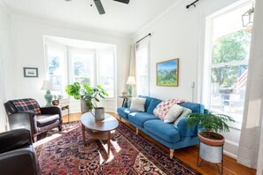 Smart TV, fireplace - The Isabella House: Historical, Beautifully Renovated, Walkable to Main Street

 (Buena Vista)