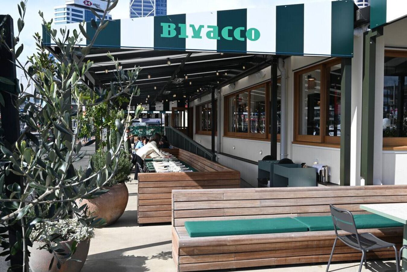 Un espace extérieur aménagé avec des bancs en bois et une grande plante en pot.