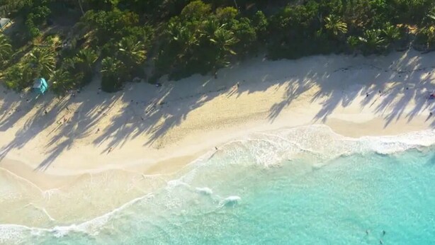 Vista aérea de una playa con aguas turquesas cristalinas, arena blanca y densas palmeras.