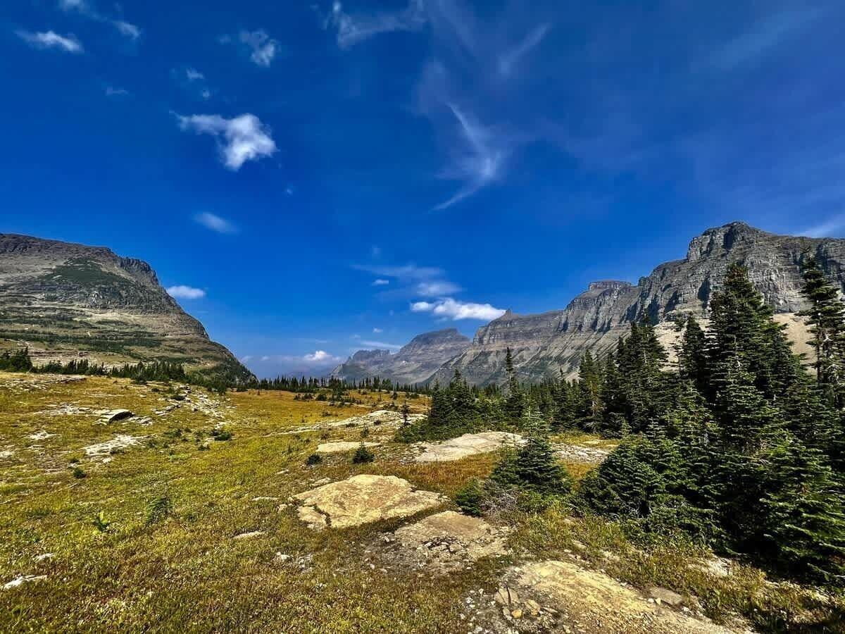 Paisaje montañoso con cielo despejado, terreno rocoso y árboles de hoja perenne.