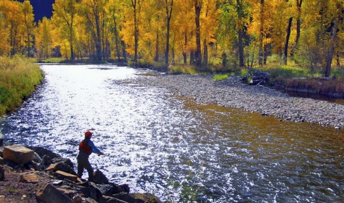A river with a person standing on rocks, surrounded by trees.