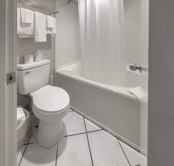 Combined shower/tub, hair dryer, towels, shampoo