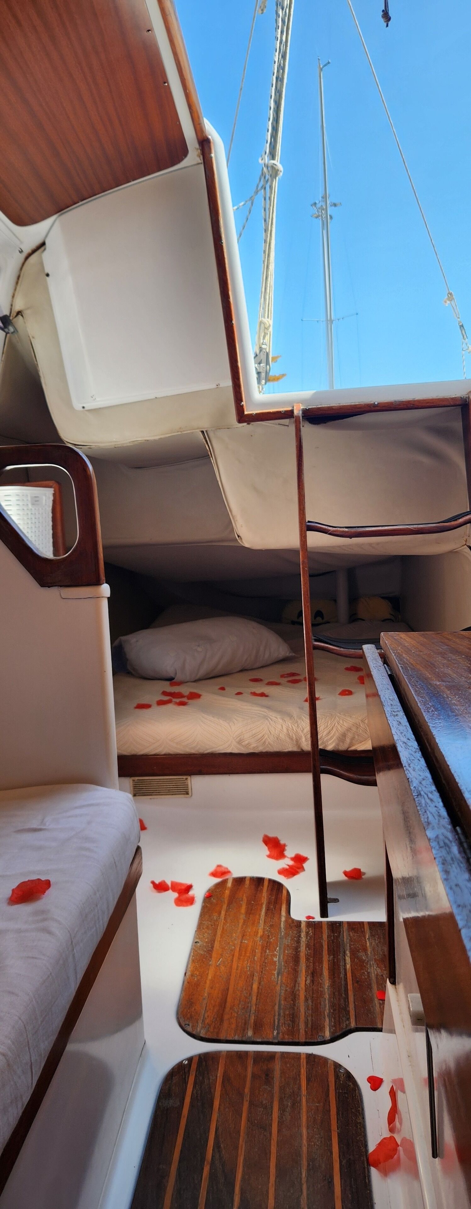 1 chambre, coffres-forts dans les chambres, bureau