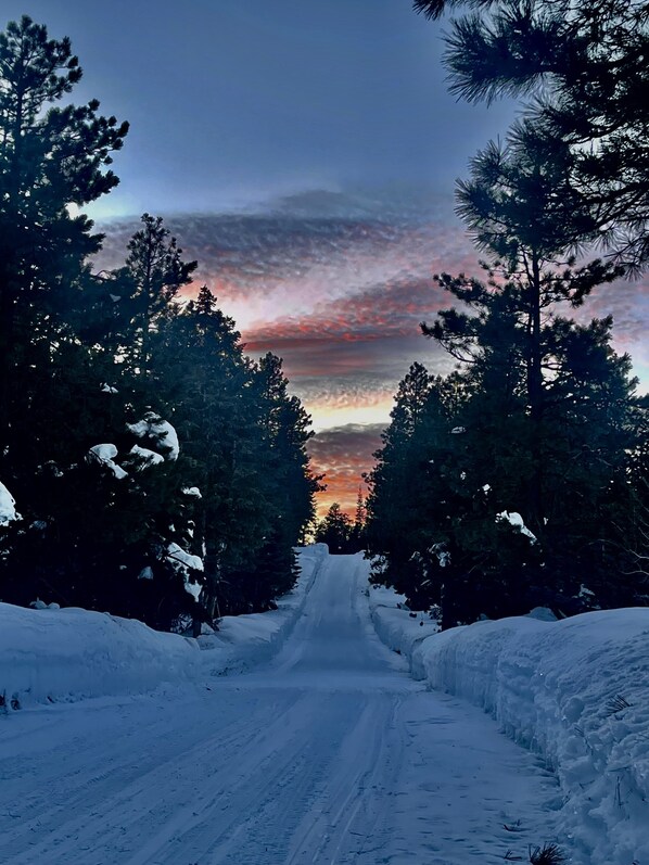 A snow-covered road flanked by tall pine trees, leading towards a sunset. - Fun for the kids and GREAT Kitchen (Duck Creek Village)