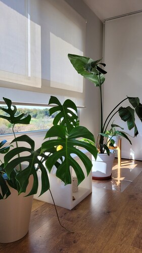 Departamento Premium en Condominio con Amenities