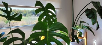 Departamento Premium en Condominio con Amenities