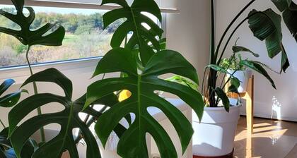 Departamento Premium en Condominio con Amenities