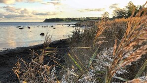A coastal landscape with a body of water, rocky shoreline, and vegetation. - Lovely cottage with wilderness bath and view (Holbæk)