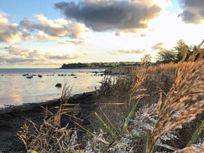 Beach - Lovely cottage with wilderness bath and view (Holbæk)