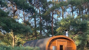 Une cabane en bois avec une porte et une petite fenêtre, entourée de pins.