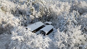 A cabin surrounded by snow-covered trees.