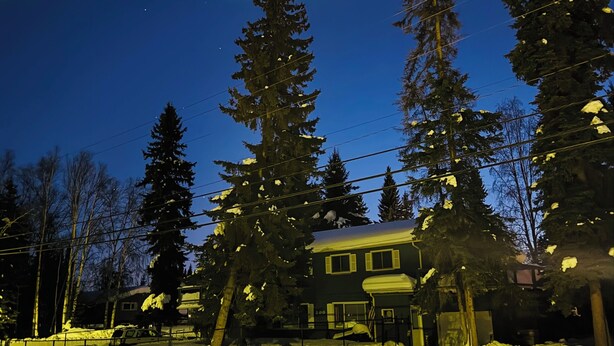 Une maison entourée de terre enneigée et de grands arbres à feuilles persistantes.