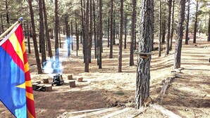 A forested area with a campfire, a flag, and a birdhouse on a tree. - Grand Gateway Cabin | 1-Acre Pine Retreat, Rt. 66 (Williams)