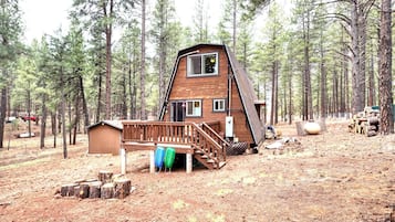 Een chalet met een houten terras, een kleine schuur en een bebost achtergrond.