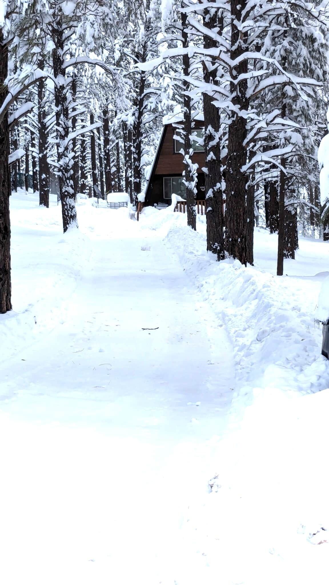 Una baita circondata da alberi innevati.