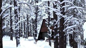 A cabin surrounded by snow-covered trees. - Grand Gateway Cabin | 1-Acre Pine Retreat, Rt. 66 (Williams)