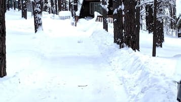Una baita circondata da alberi innevati.