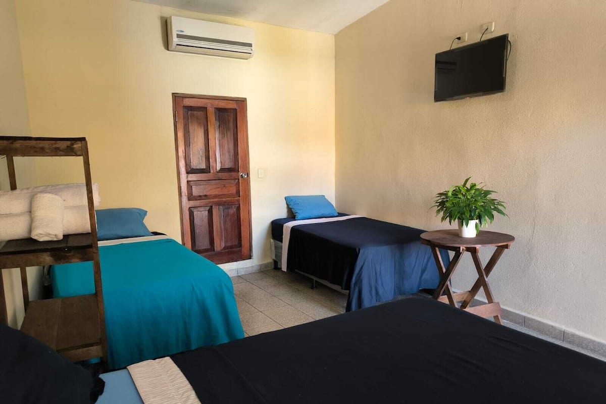 Une chambre avec deux lits, une étagère en bois avec des serviettes, une petite table avec une plante, un téléviseur fixé au mur et un appareil de climatisation.