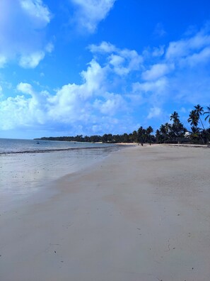 Beach/ocean view - Hapahapa Zanzibar bungalows  (Kiwengwa)