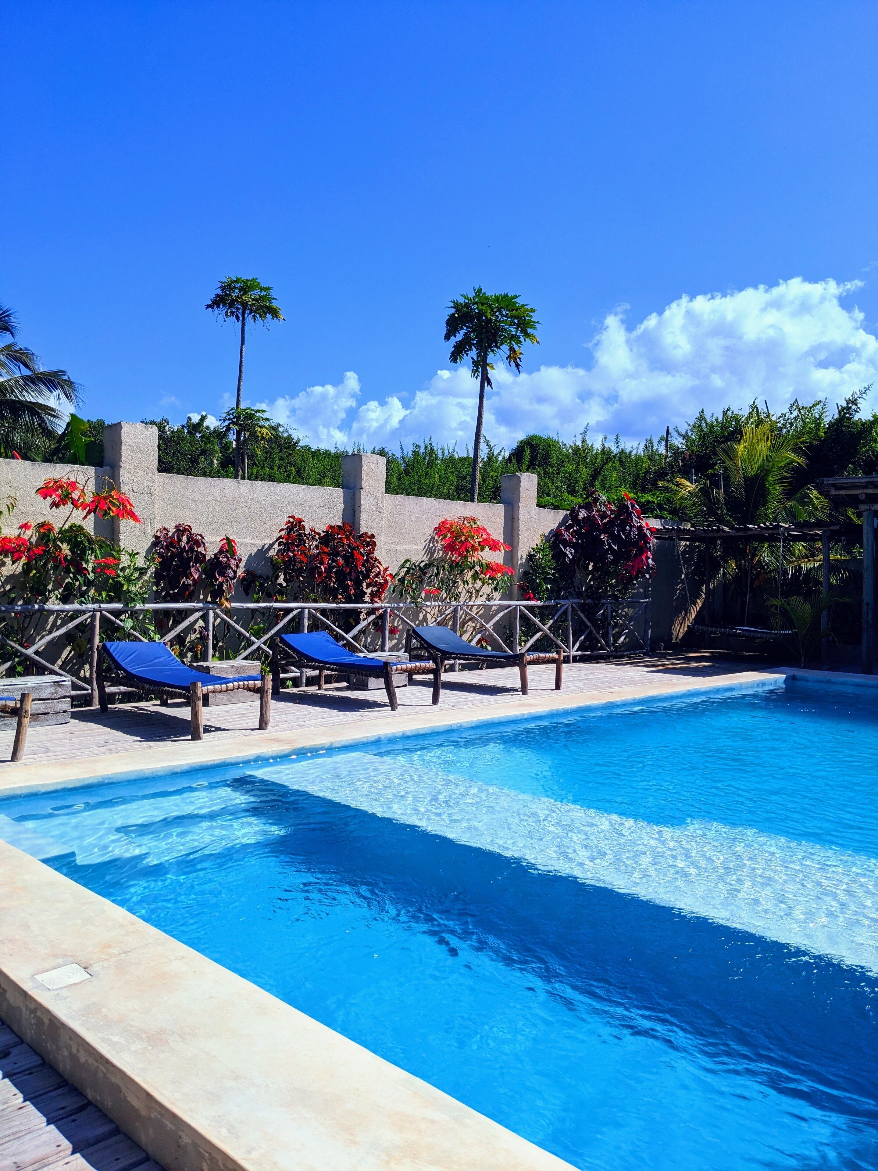 Outdoor pool, sun loungers