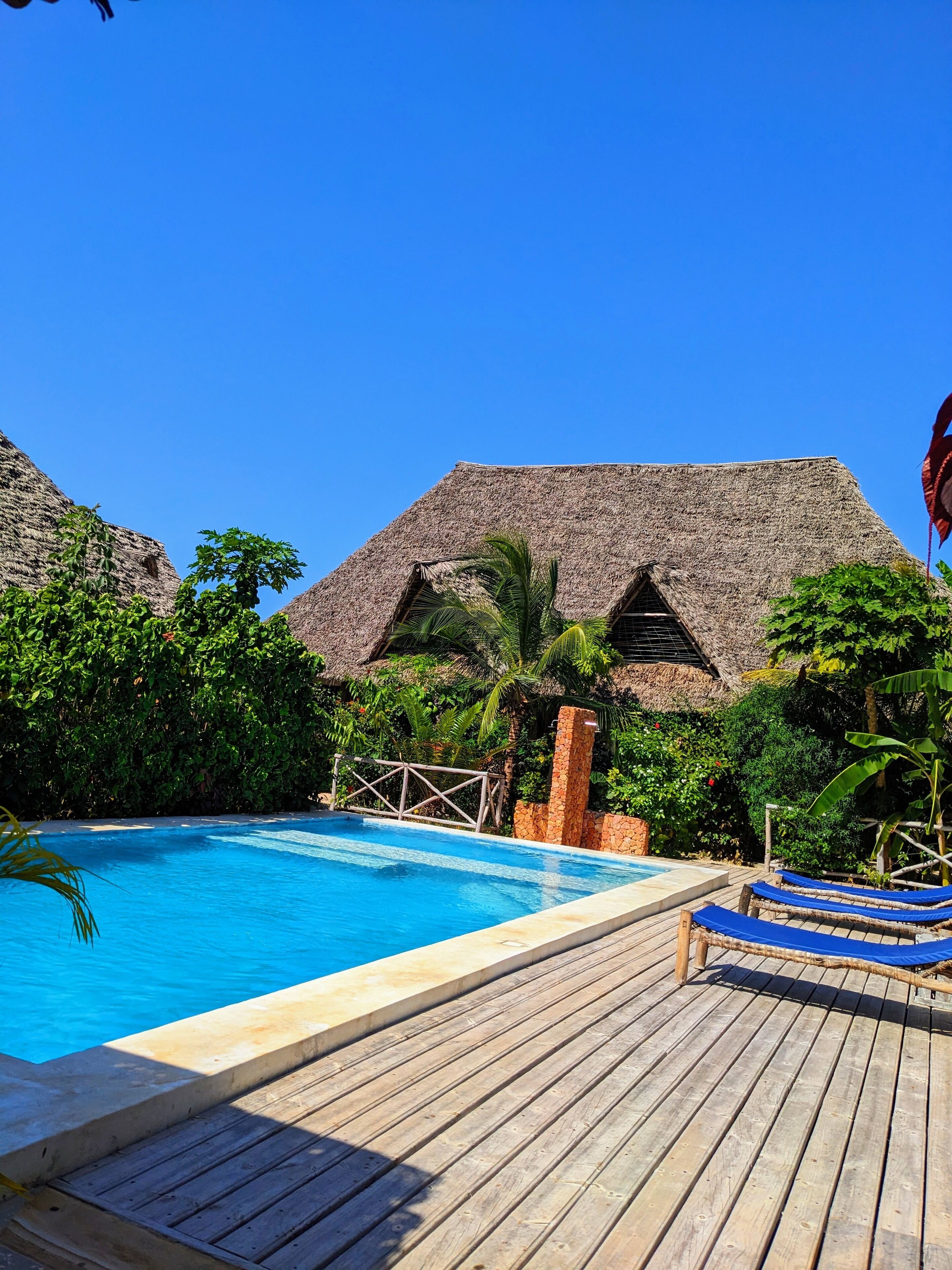 Outdoor pool, sun loungers