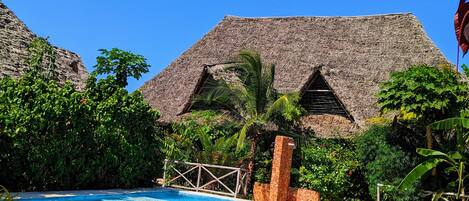 Outdoor pool, sun loungers
