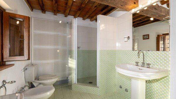 Une salle de bain avec douche, toilettes et lavabo.