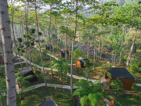 A forested area with several small cabins and a clear path. - Bobocabin The Tavia Puncak (Megamendung)