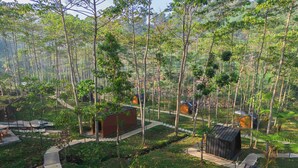 A forested area with several small cabins and a paved walkway. - Bobocabin The Tavia Puncak (Megamendung)