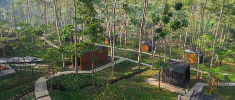 A forested area with several small cabins and a paved walkway.