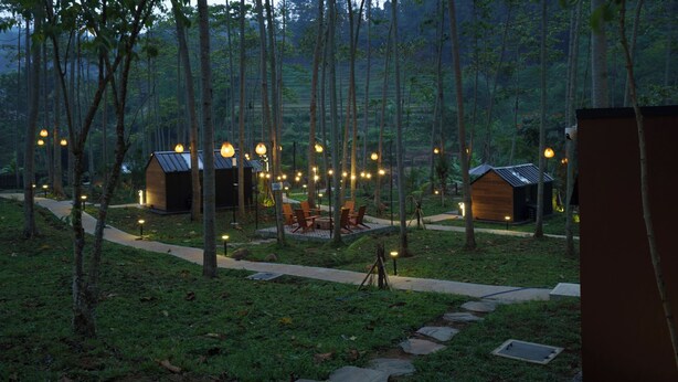 A forested area with multiple wooden cabins, each with a pathway leading to them. - Bobocabin The Tavia Puncak (Megamendung)