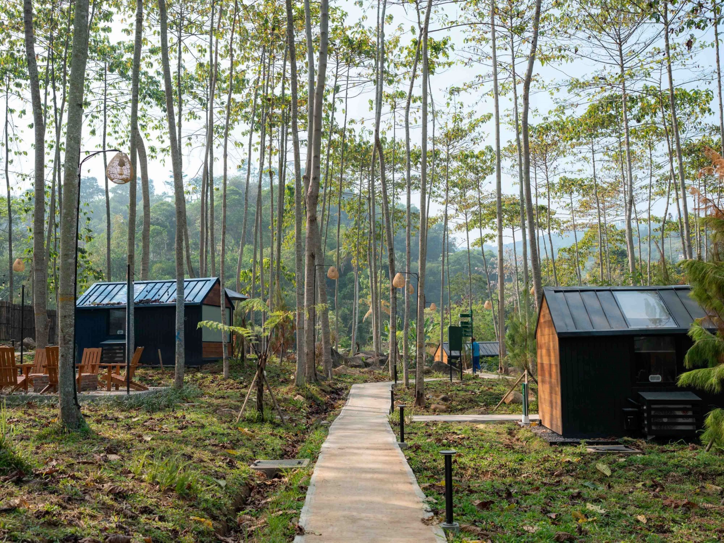 A forested area with a concrete path leading through it, surrounded by tall trees and small wooden cabins with metal roofs.