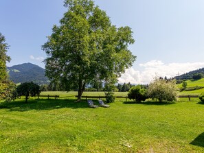 Área da propriedade