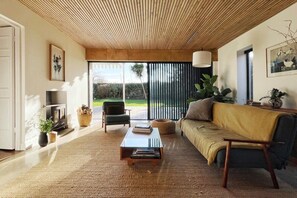 TV, lareira, livros, escritórios