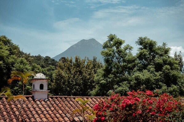 A building with a tiled roof and a bell tower, surrounded by dense green foliage and a mountain in the background.