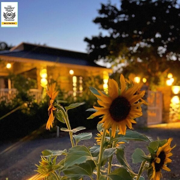 Exclusive Cottage | Desk, laptop workspace, soundproofing, free WiFi - JAWAI GREENS (Bali)