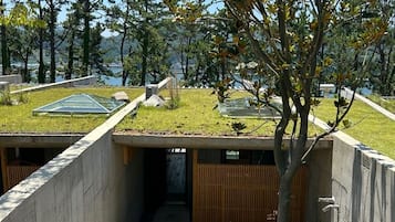 Down duvets, free WiFi