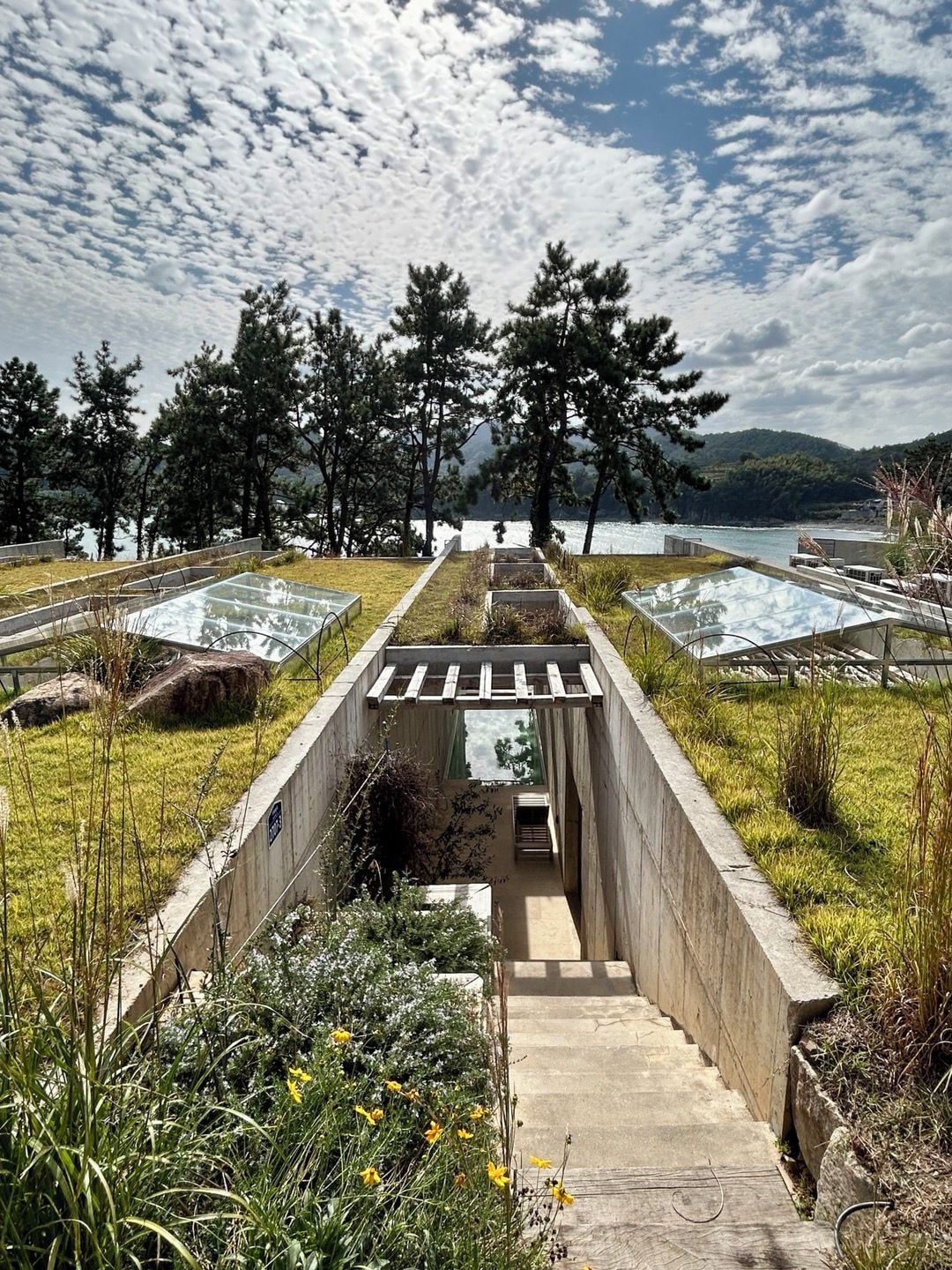 A pathway leading to a building with a glass enclosure, surrounded by grass and trees, overlooking a body of water.