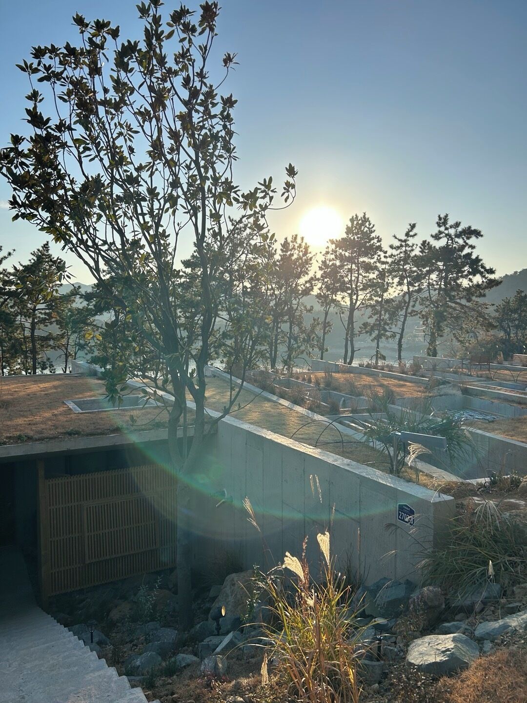 Down comforters, free WiFi