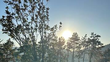 Down comforters, free WiFi