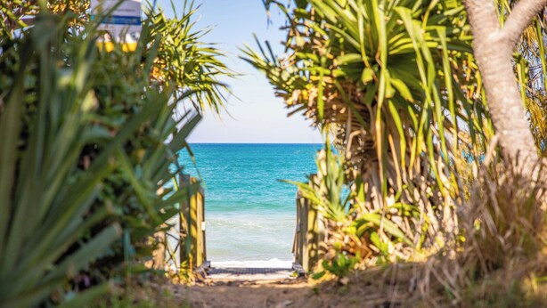 Un sentier qui mène à une plage bordée de palmiers et délimitée par une clôture en bois.
