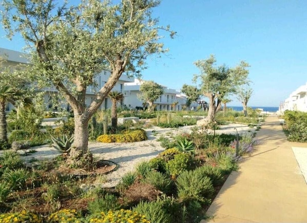 A landscaped garden with pathways, trees, and a building in the background.