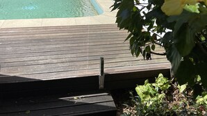 Una piscina con borde de baldosas, rodeada de vegetación exuberante y plantas florecientes.