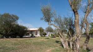 Una casa con jardín, un árbol y cielo despejado.